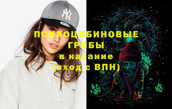 хмурый Алексеевка