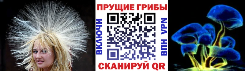 Псилоцибиновые грибы прущие грибы  купить  цена  Южно-Сахалинск 